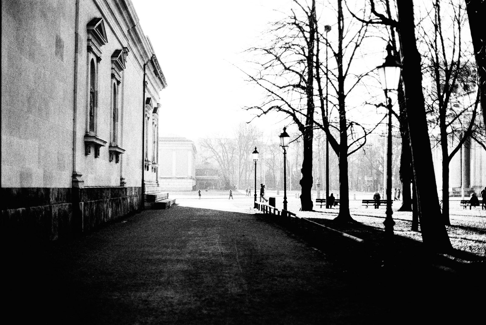 Königsplatz München in winterlichem Schwarzweiß: Blick entlang einer Baumallee Richtung Propyläen, im linken Bildrand die Flanke der Glyptothek.